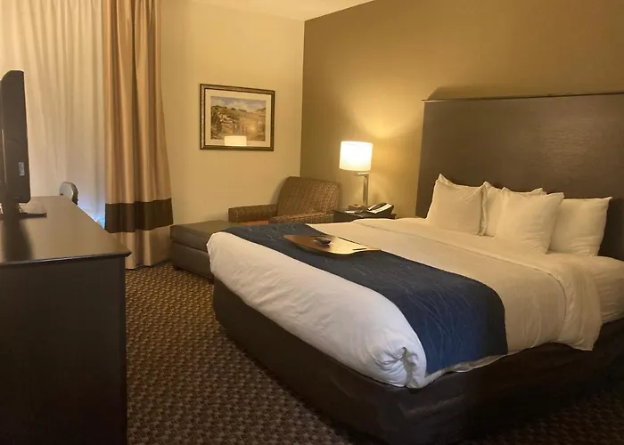 Comfort Inn Wings Stadium