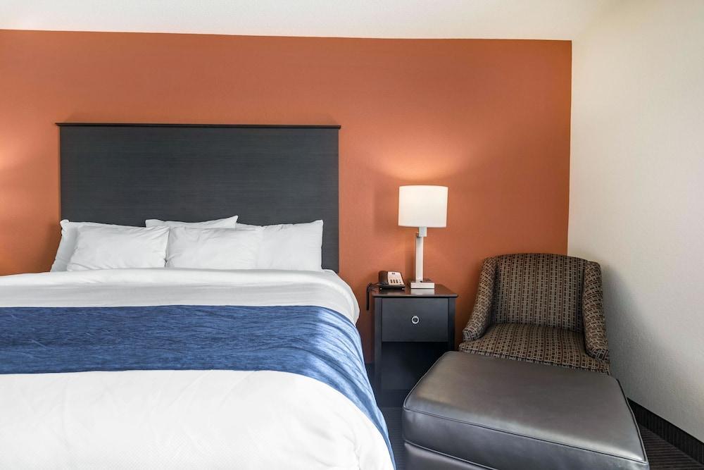 Comfort Wings Stadium Inn Kalamazoo
